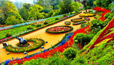 Coimbatore - Ooty - Coimbatore